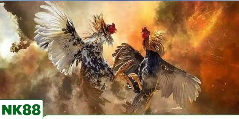 Các lưu ý khi học hỏi kinh nghiệm