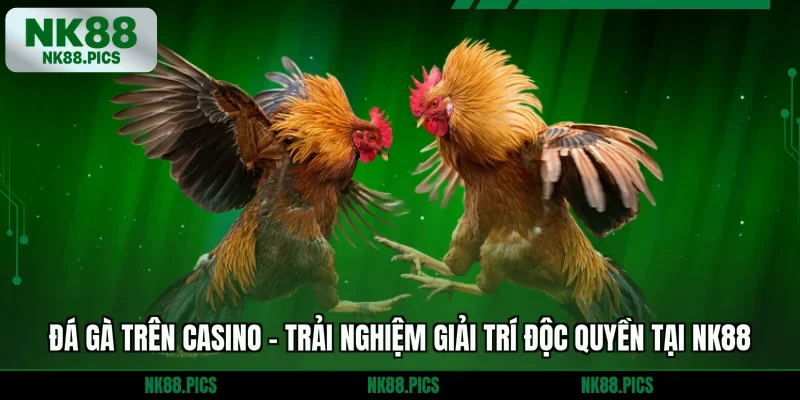 Đá Gà Trên Casino - Trải Nghiệm Giải Trí Độc Quyền Tại NK88