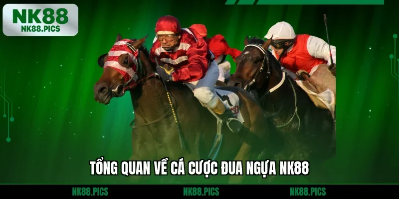 Tổng quan về cá cược đua ngựa NK88
